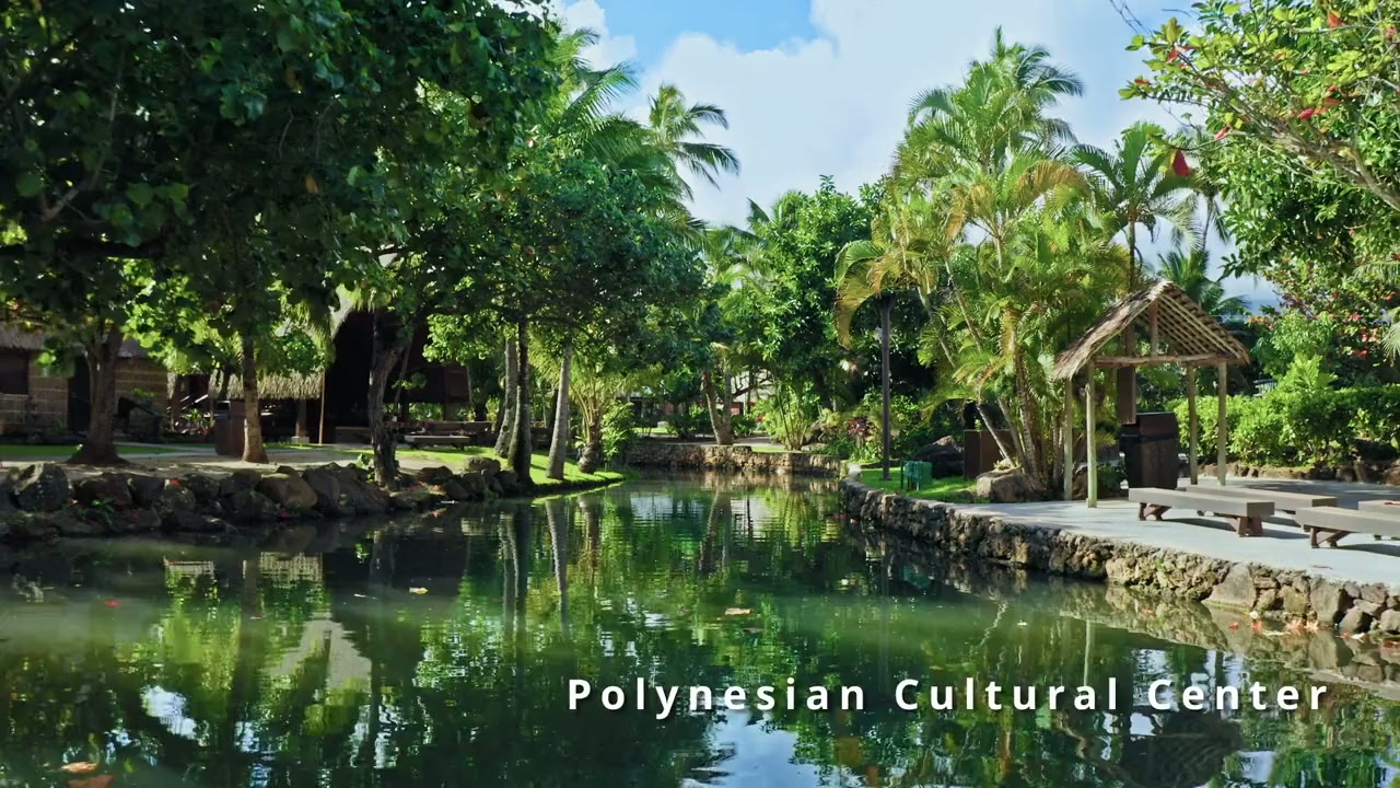 Sharing Aloha screenshot 1