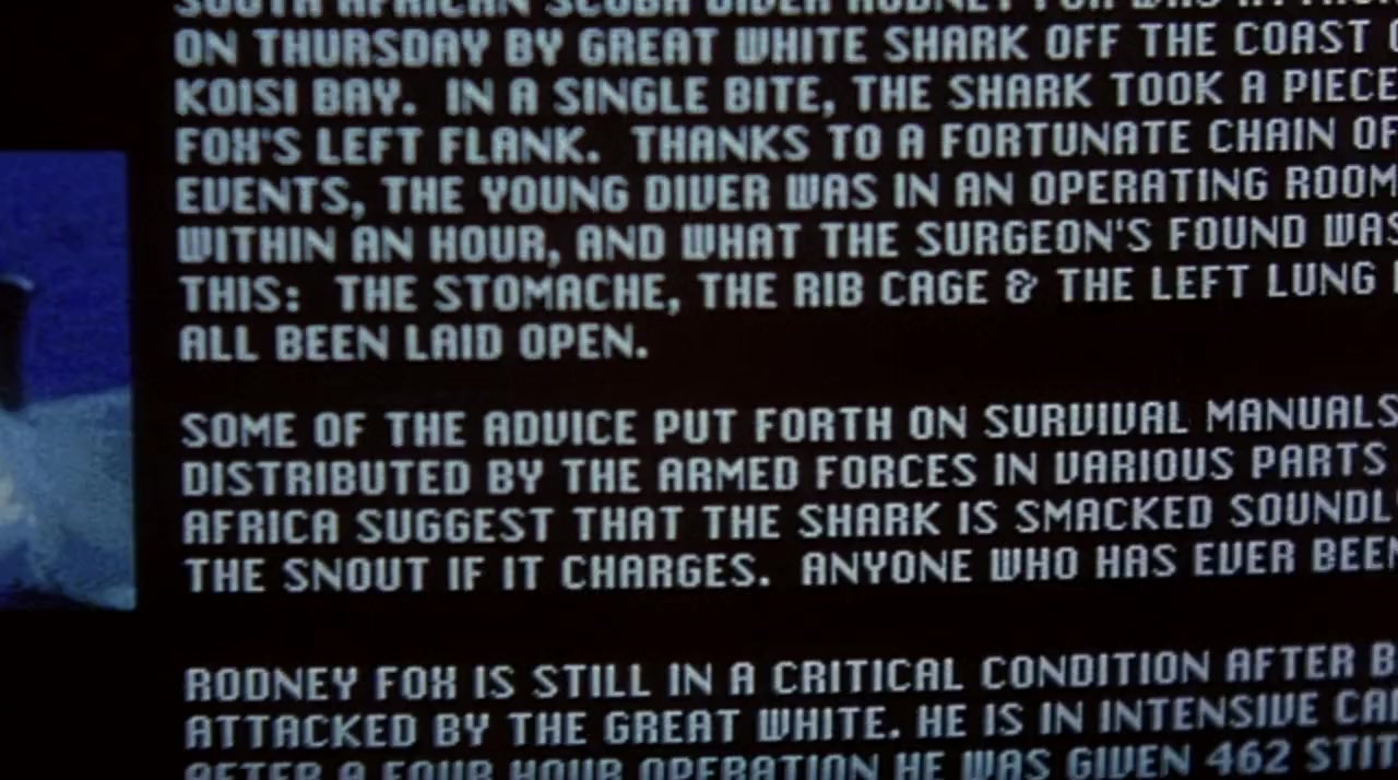 Shark Attack screenshot 1
