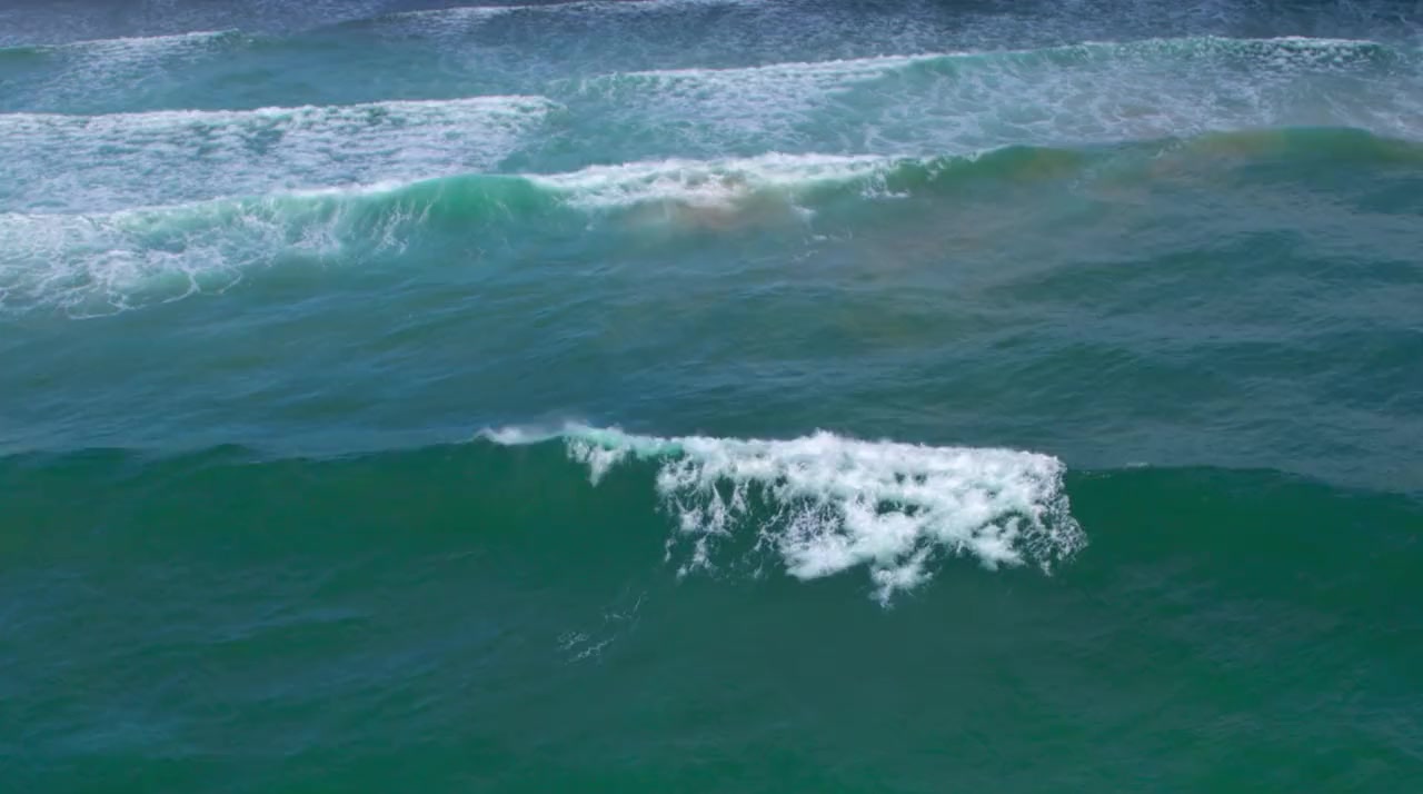 Shark Beach with Chris Hemsworth screenshot 3