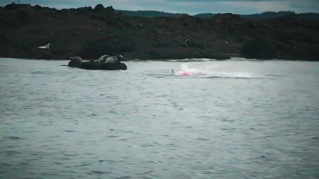 Shark Below Zero screenshot 2