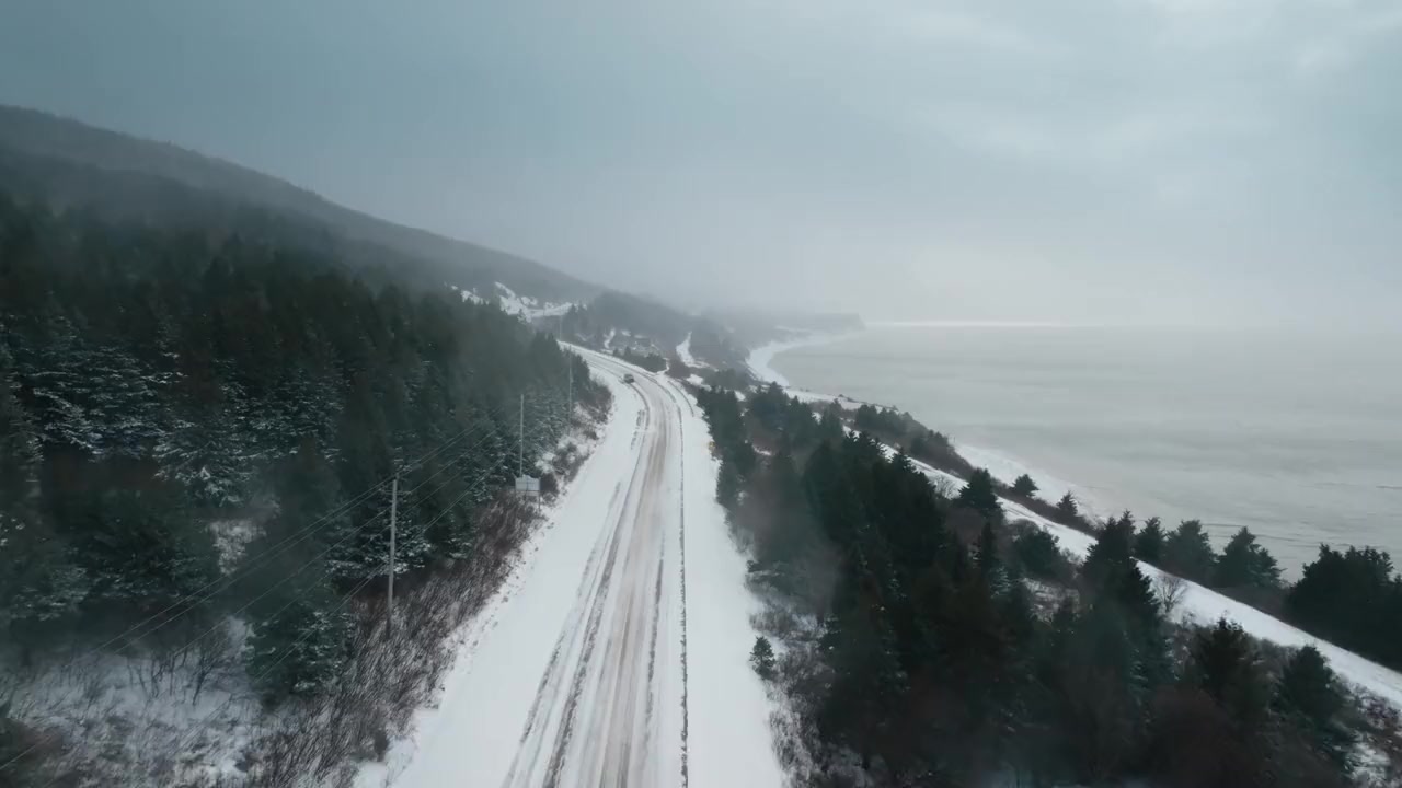Shark Below Zero screenshot 3