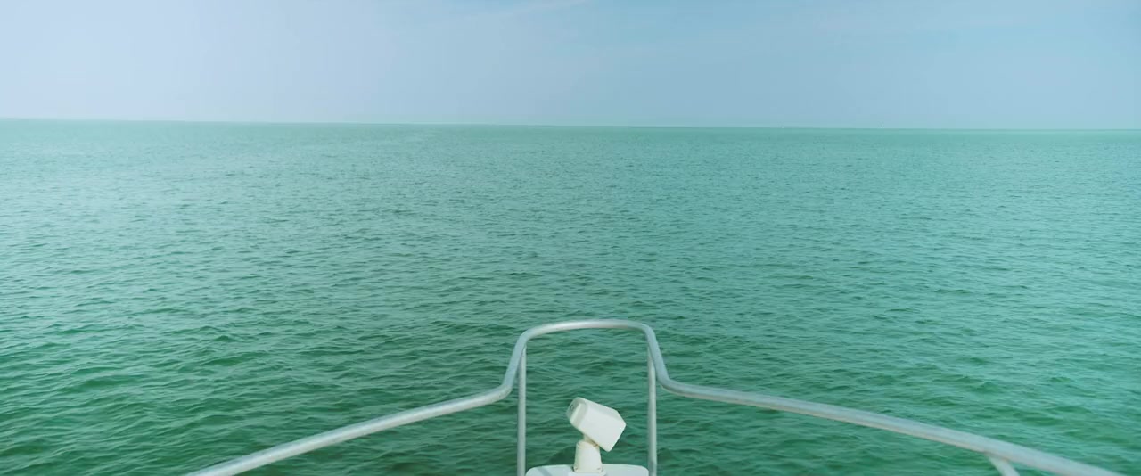 Shark Waters screenshot 3