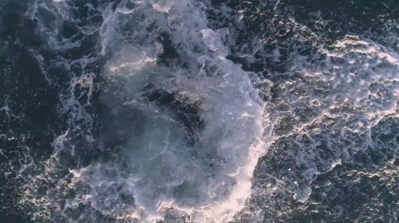 Shark vs. Whale screenshot 1