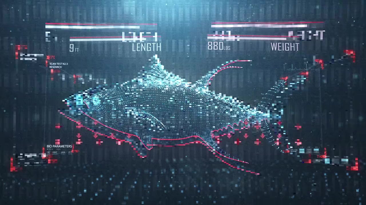 Shark vs Tuna screenshot 1