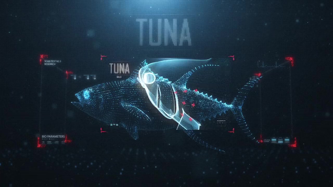 Shark vs Tuna screenshot 2