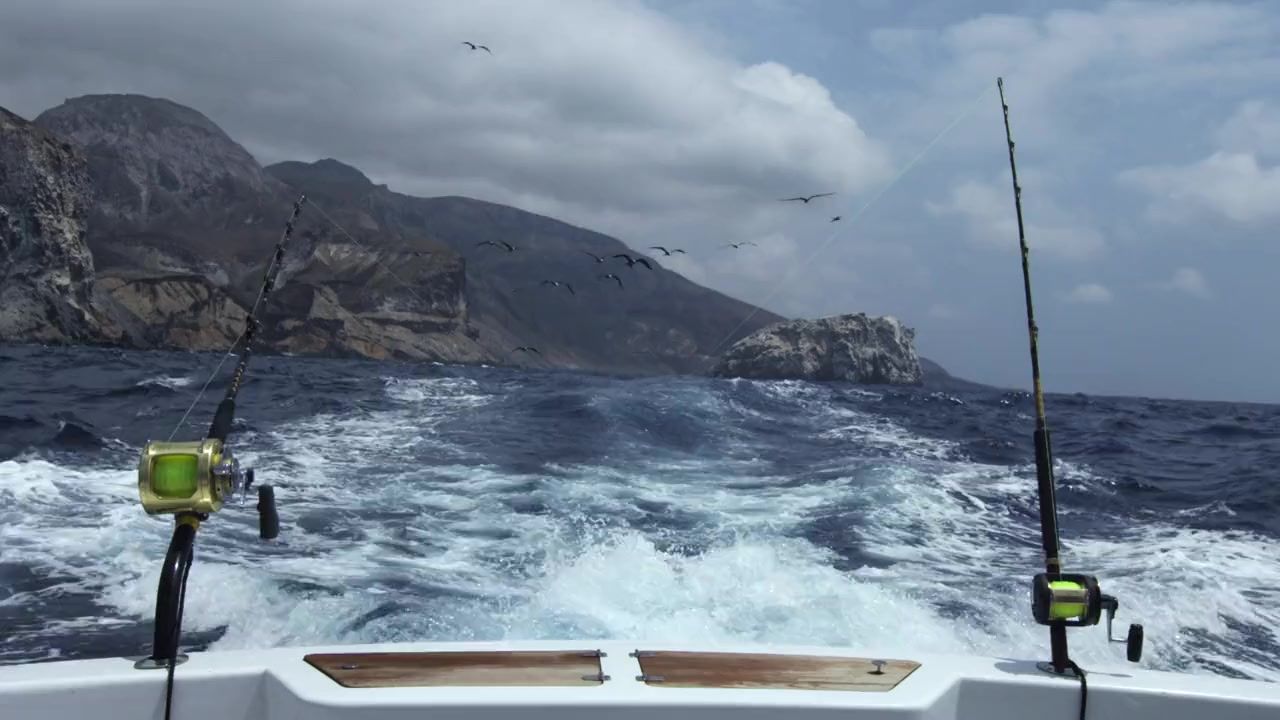 Shark vs Tuna screenshot 3