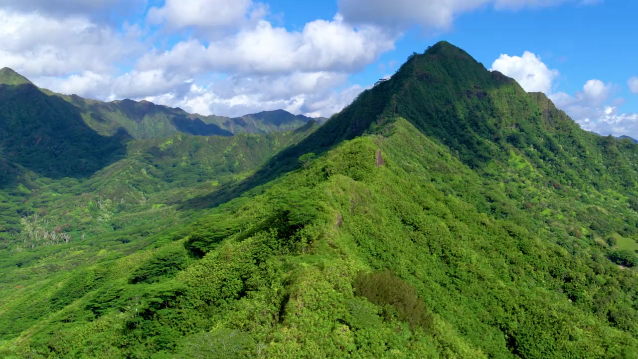 Sharkcano: Hawaii screenshot 1