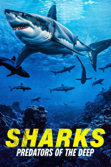 Sharks: Predators of the Deep (2024) poster