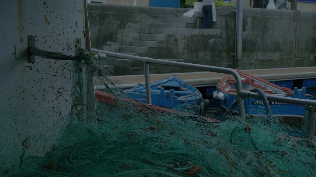 Sharks: Predators of the Deep screenshot 3