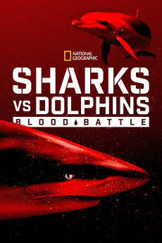 Sharks vs. Dolphins: Blood Battle (2020) poster
