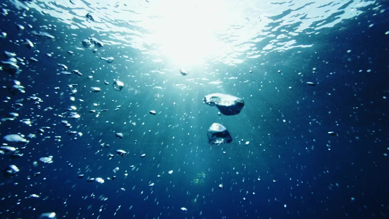 Sharksploitation screenshot 3