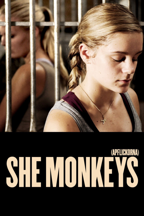 Apflickorna (2011) poster