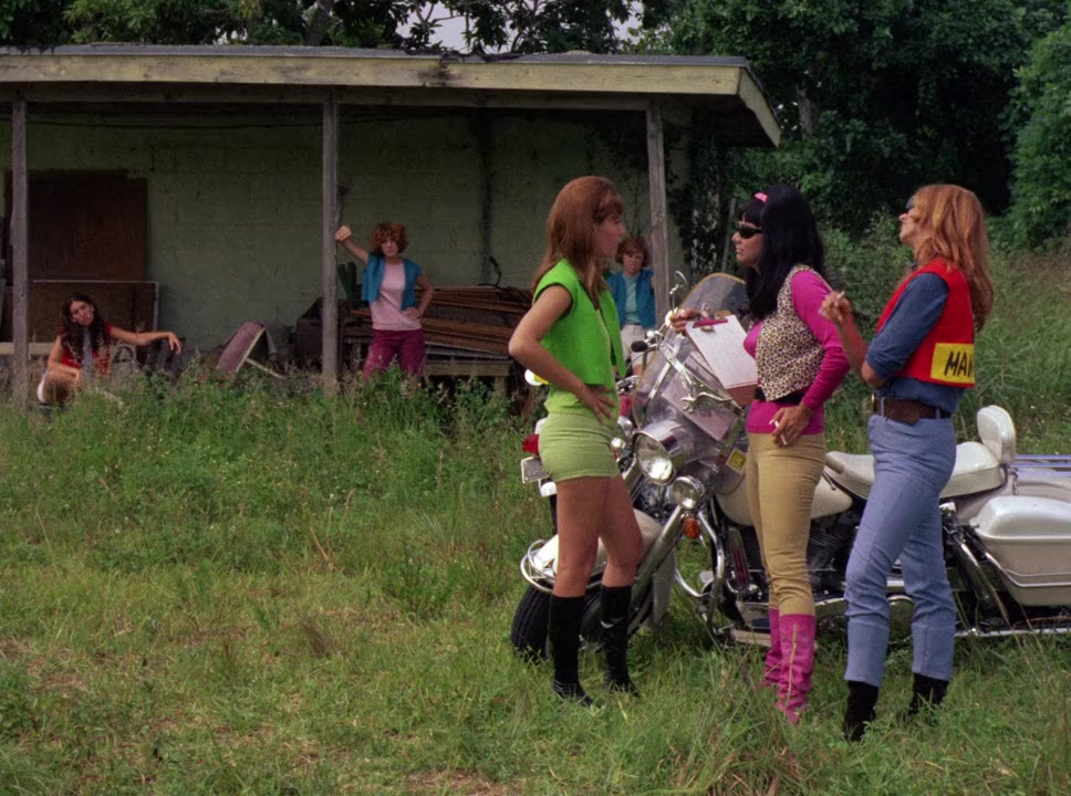 She-Devils on Wheels screenshot 1