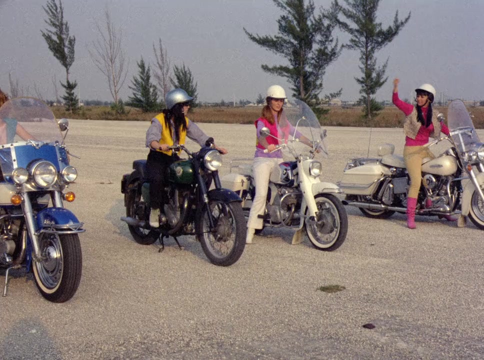She-Devils on Wheels screenshot 2