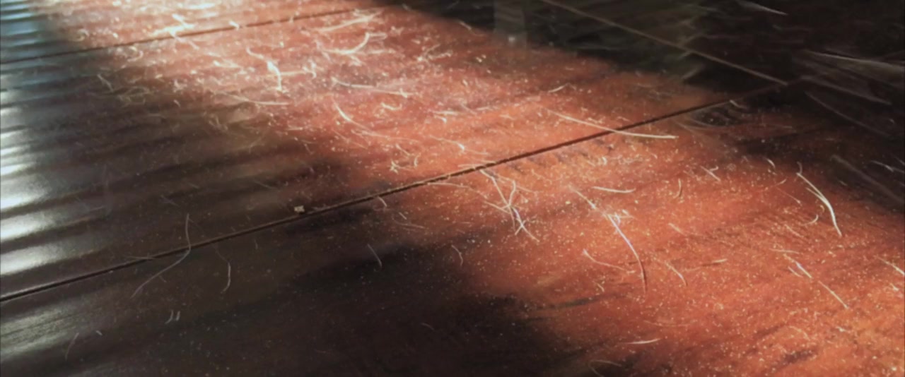 Shedding screenshot 1