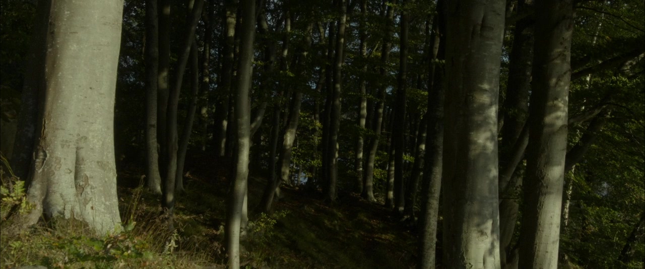 Shelley screenshot 2