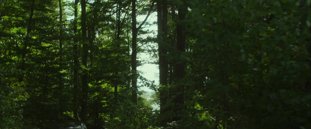 Shelley screenshot 3