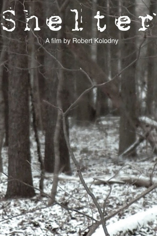 Shelter (2010) poster