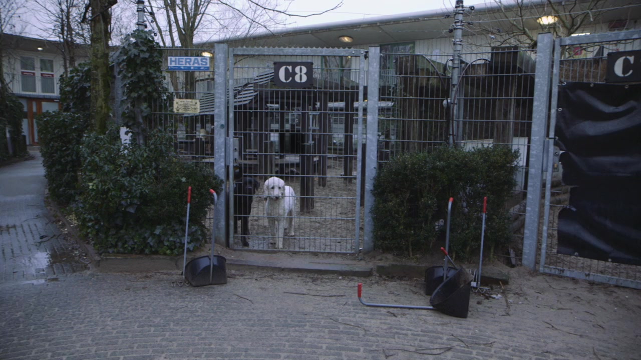 Dierbaren screenshot 1