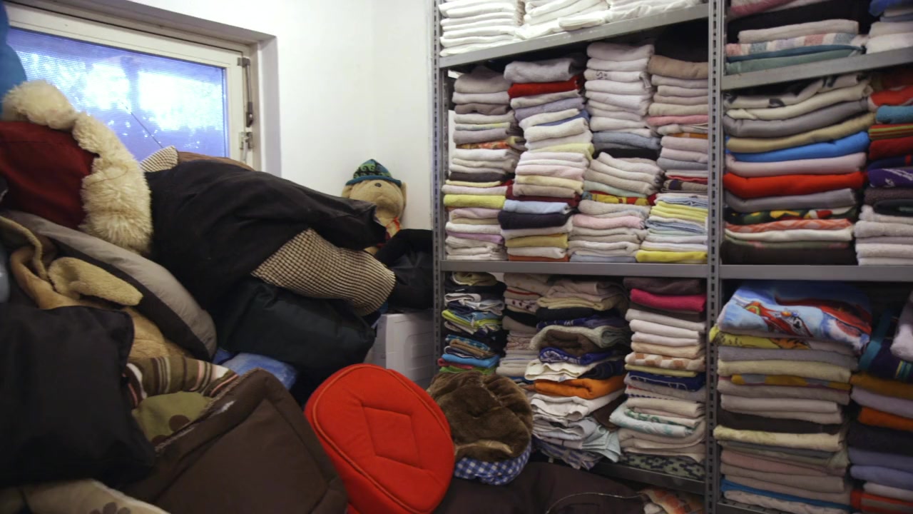 Dierbaren screenshot 2