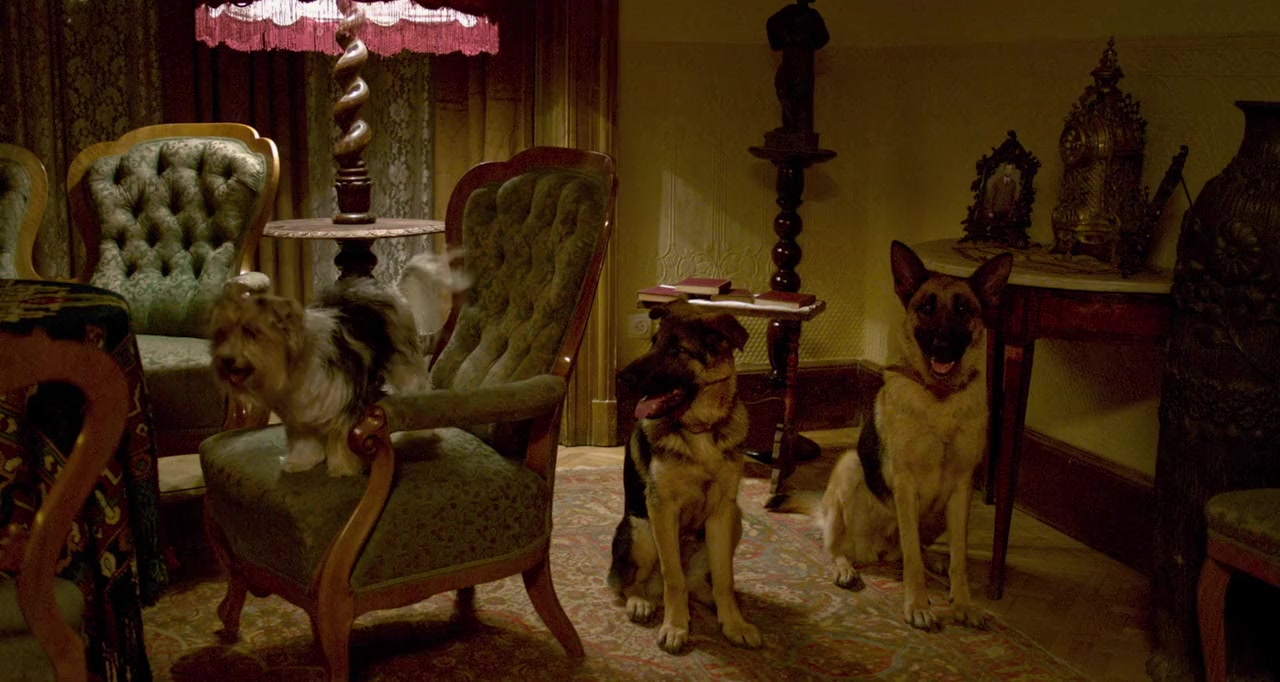 Shepherd: The Story of a Jewish Dog screenshot 2