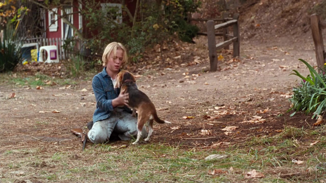 Shiloh screenshot 1