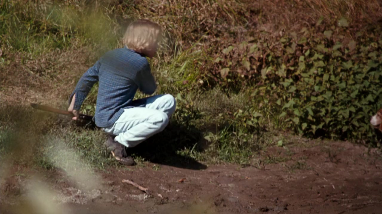 Shiloh screenshot 2