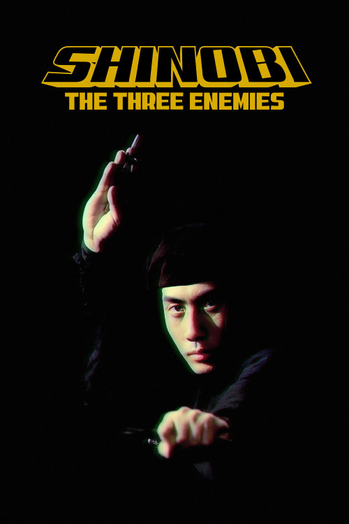 Shinsho: shinobi no mono (1966) poster