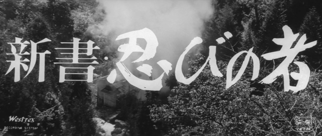 Shinsho: shinobi no mono screenshot 2