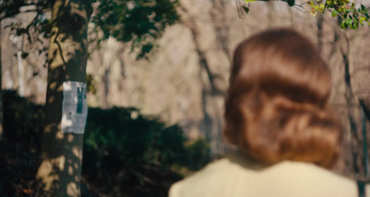 Shirley screenshot 1