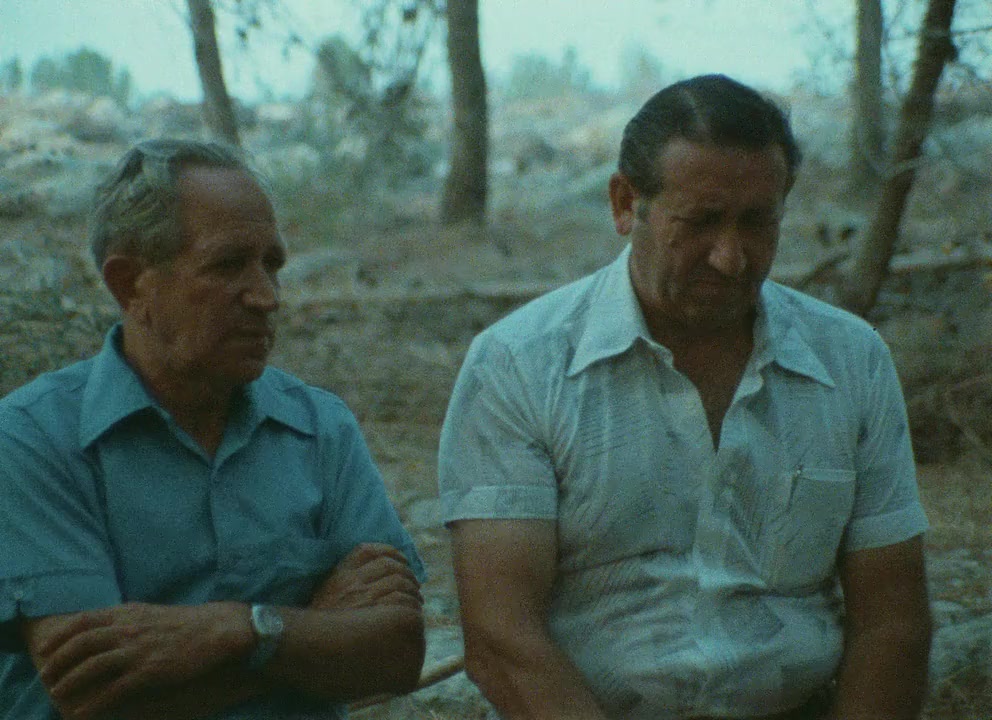 Shoah screenshot 1