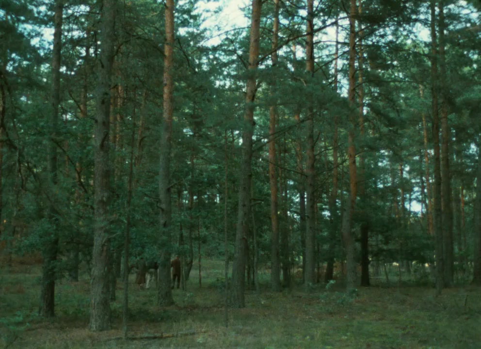 Shoah screenshot 2