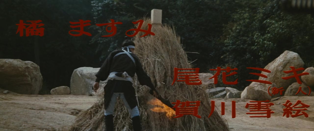 Tokugawa onna keibatsu-shi screenshot 2