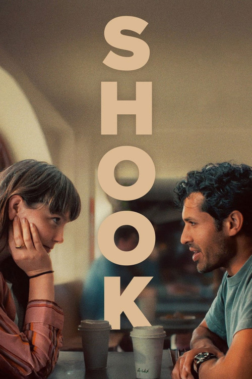 Shook (2024) poster