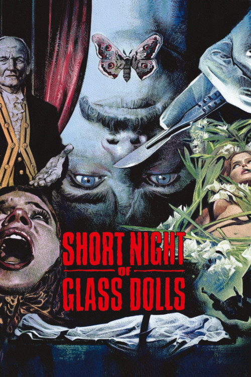 La corta notte delle bambole di vetro (1971) poster