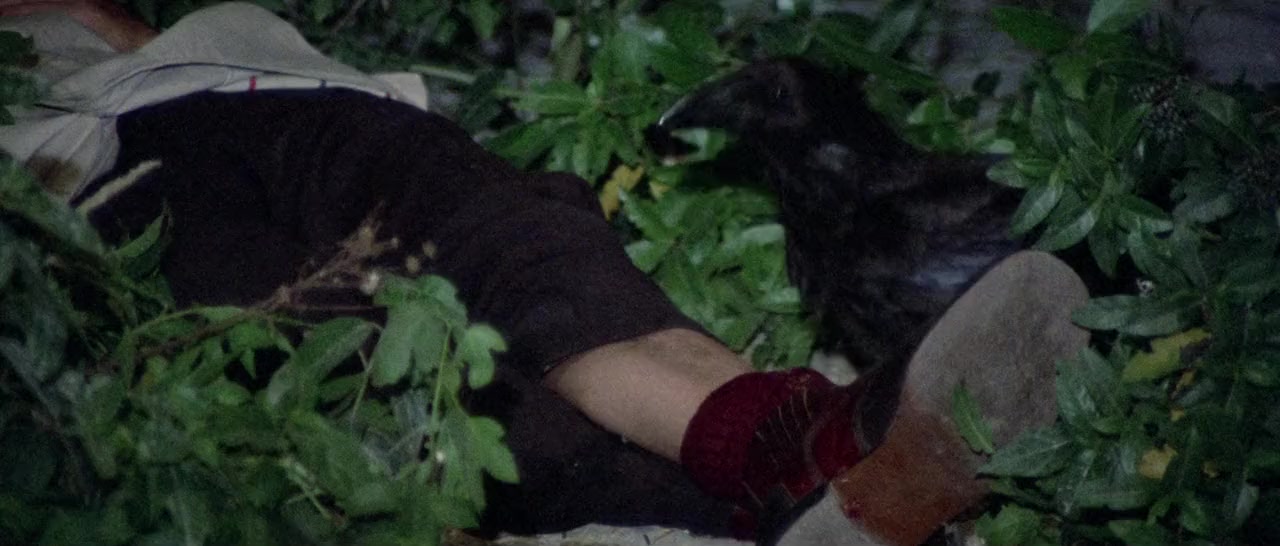 La corta notte delle bambole di vetro screenshot 3