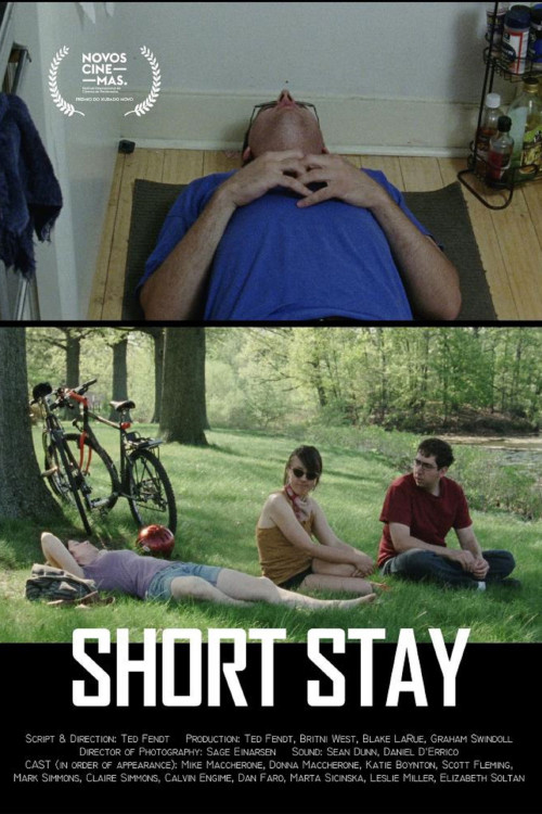 Short Stay (2016) poster