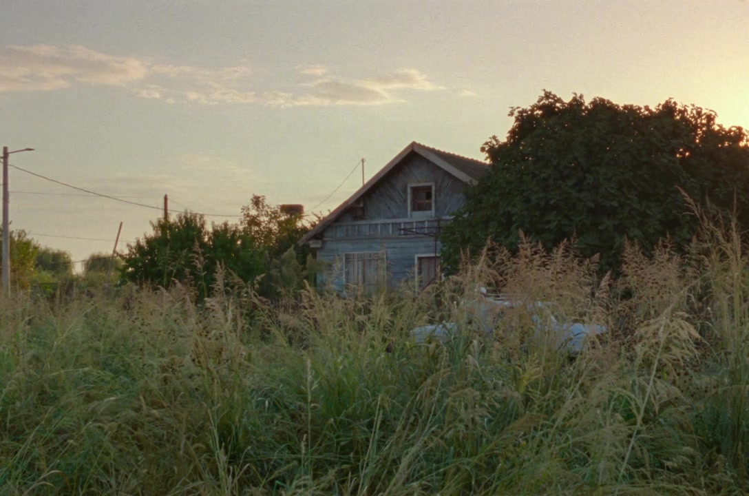 Short Summer screenshot 3