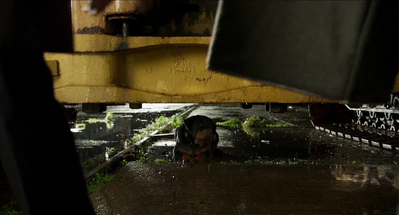 Show Dogs screenshot 1