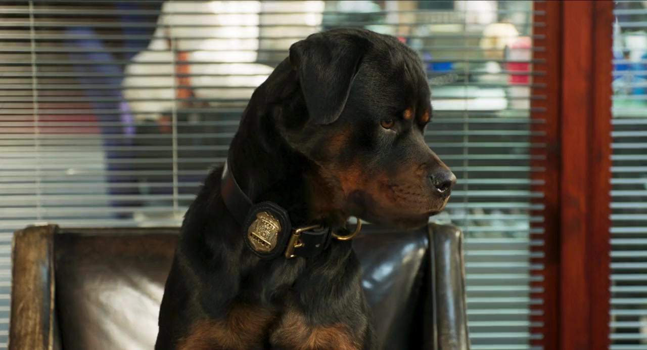 Show Dogs screenshot 3