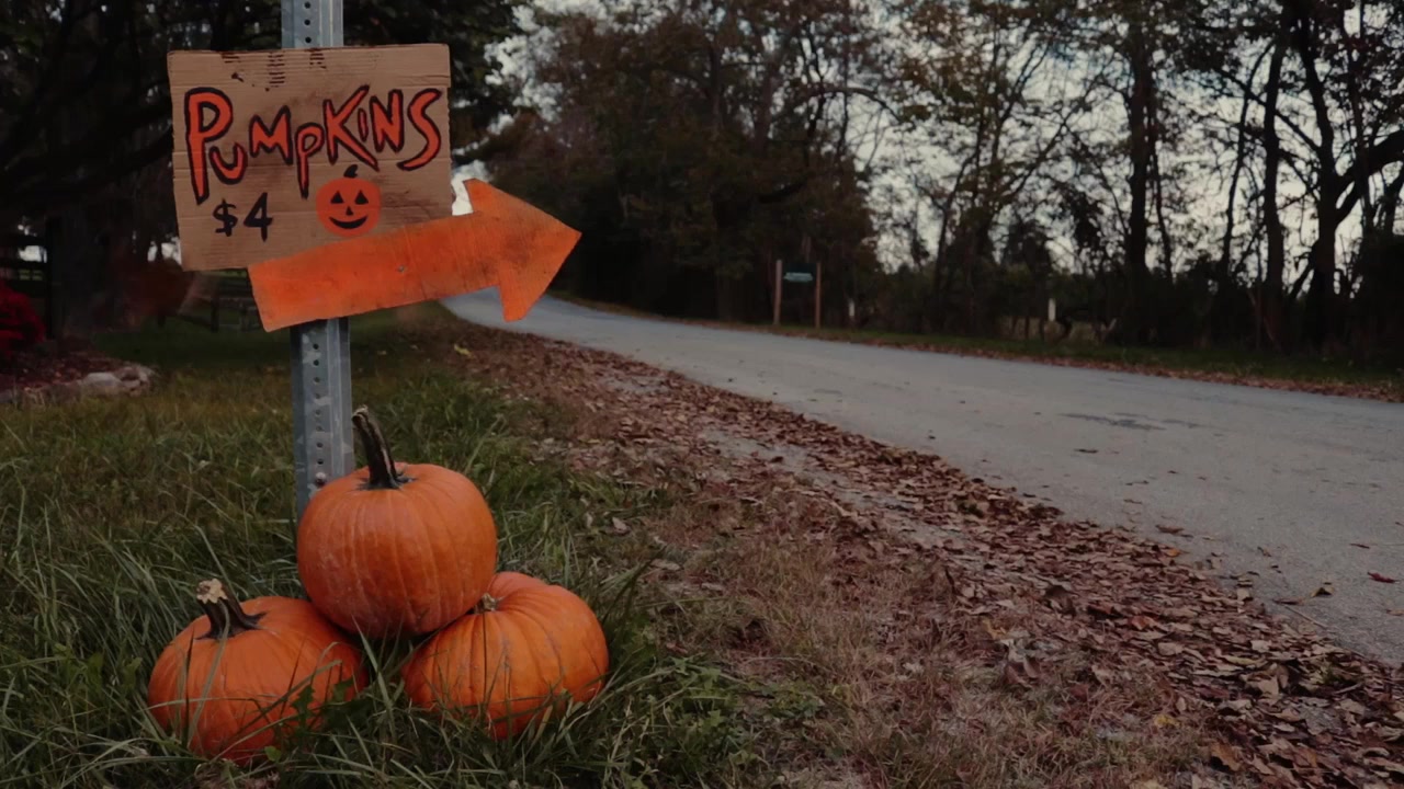 Shriekshow screenshot 2