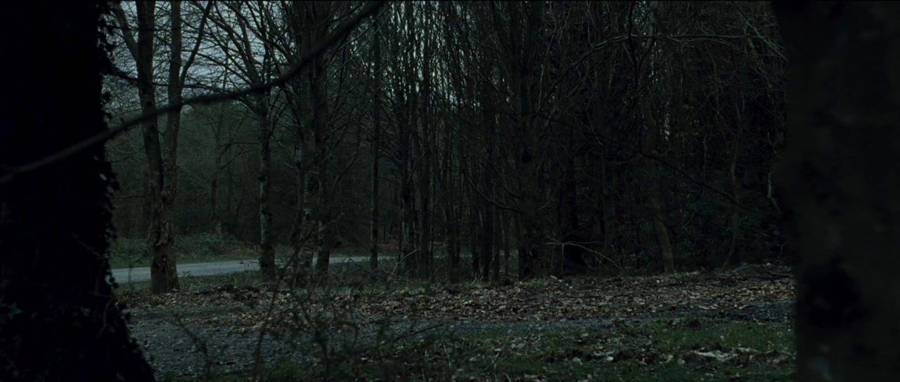 Shrooms screenshot 3