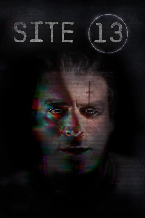 Site 13 (2023) poster
