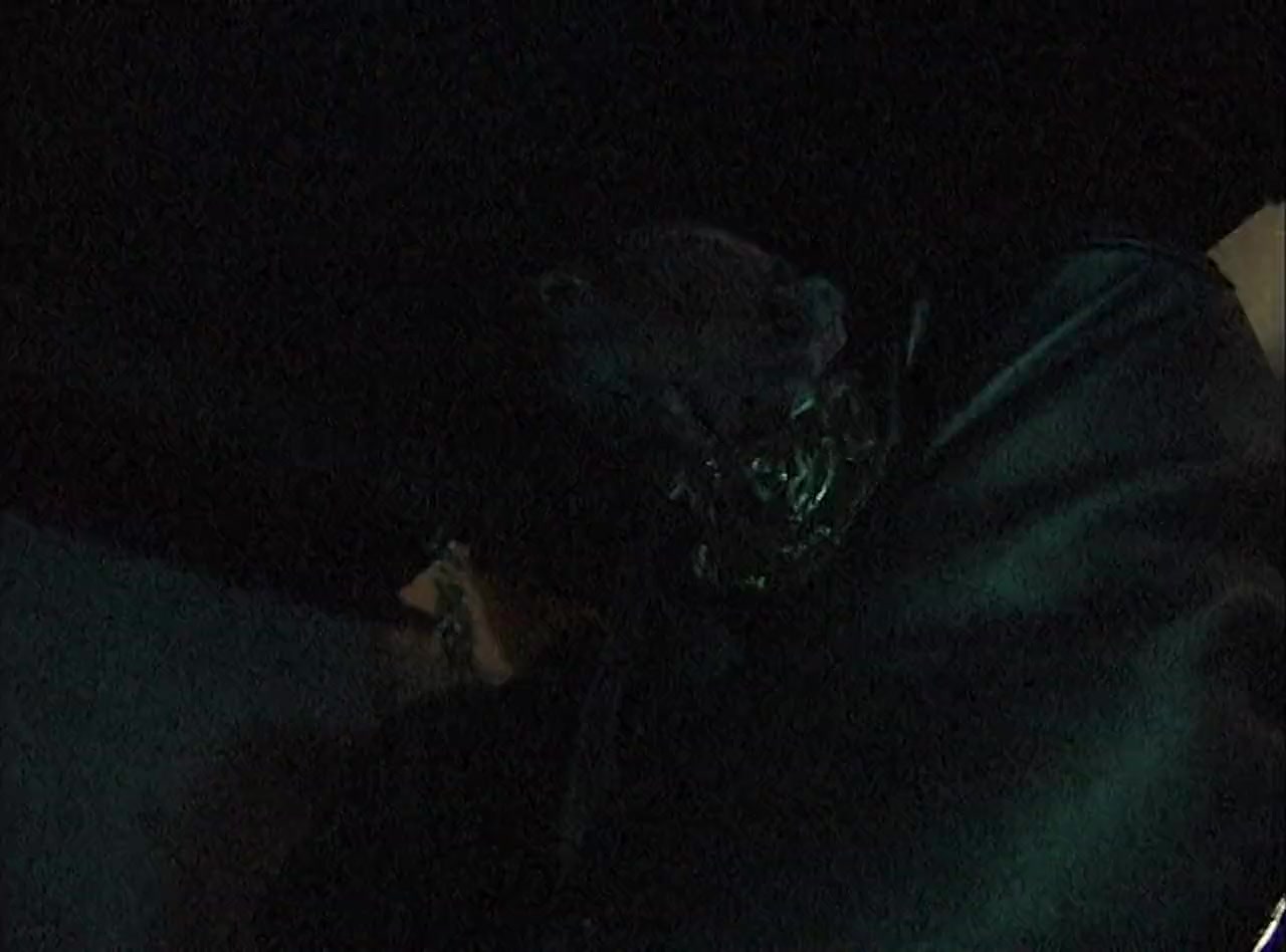 Sixteen Tongues screenshot 2