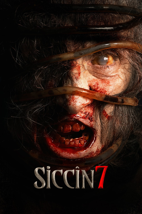 Siccin 7 (2024) poster