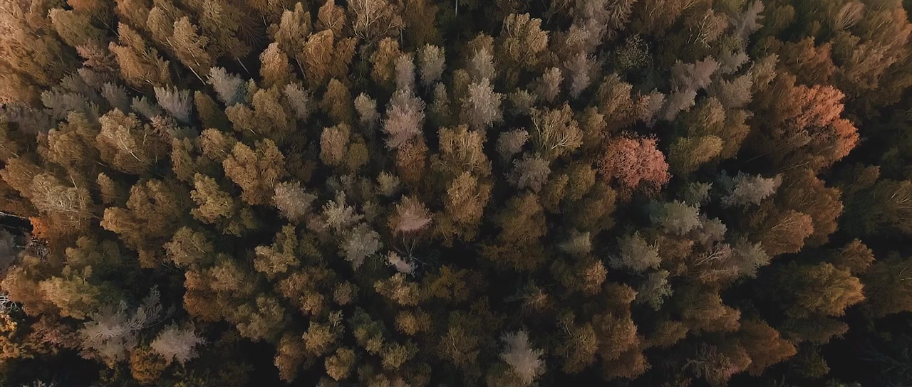 S'ids Lake screenshot 2