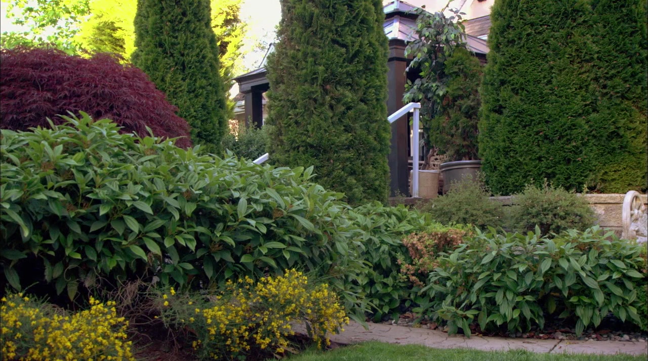 Sight Unseen screenshot 1