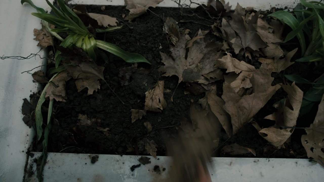 Siccin 2 screenshot 1
