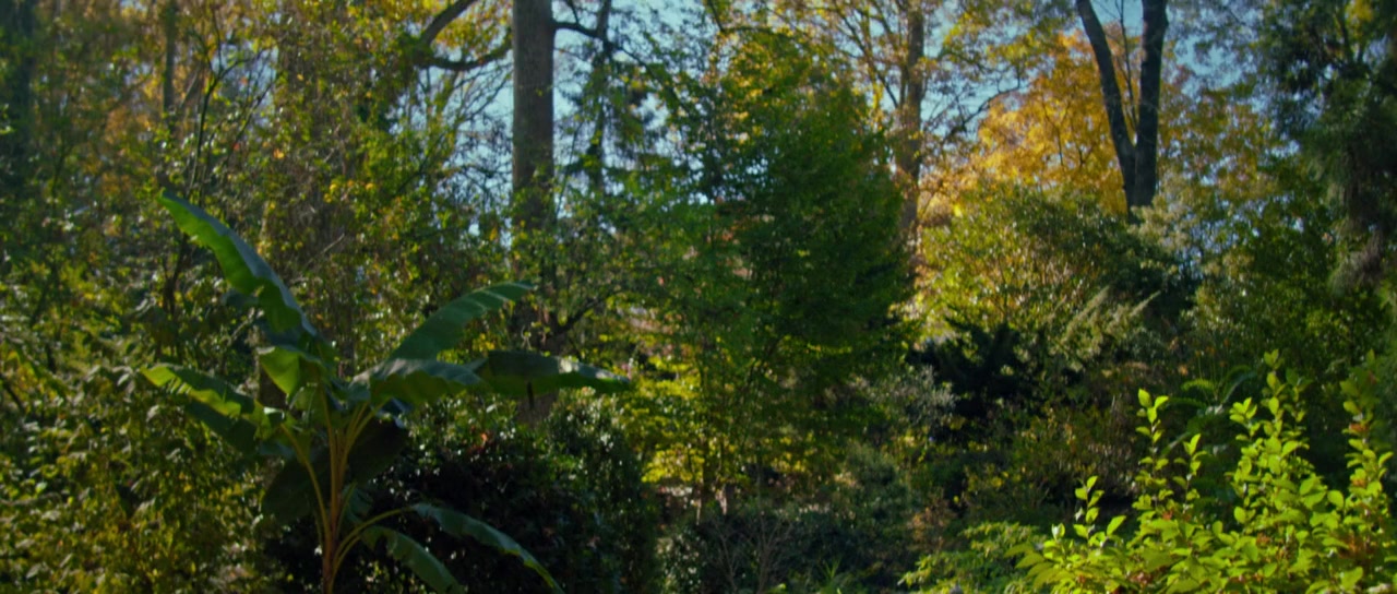 Silent Murmur screenshot 2