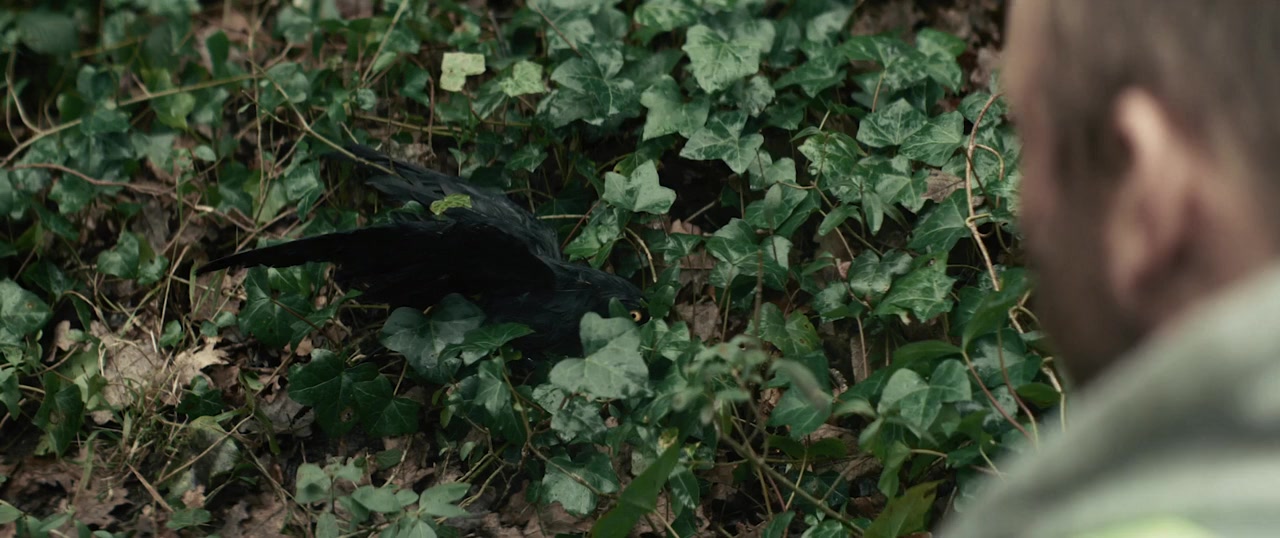 Silent Night screenshot 1